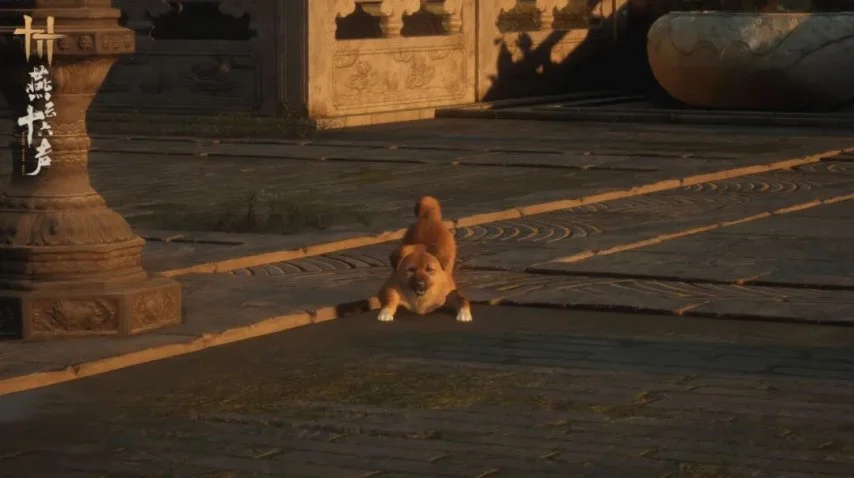 大乐透期号,专家推荐,解析老车返,2026世界杯,国际足联,足球赛事,北美世界杯,世界杯赛程,世界杯门票