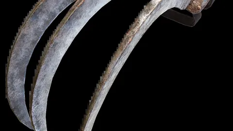 2026世足運彩分析 资讯 115321 pff